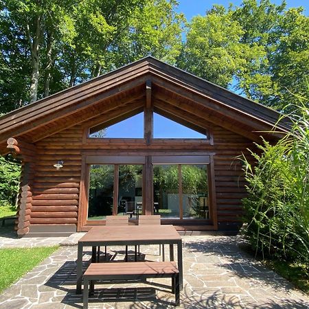 Huette Am Wald Vila Hof bei Salzburg Exterior foto