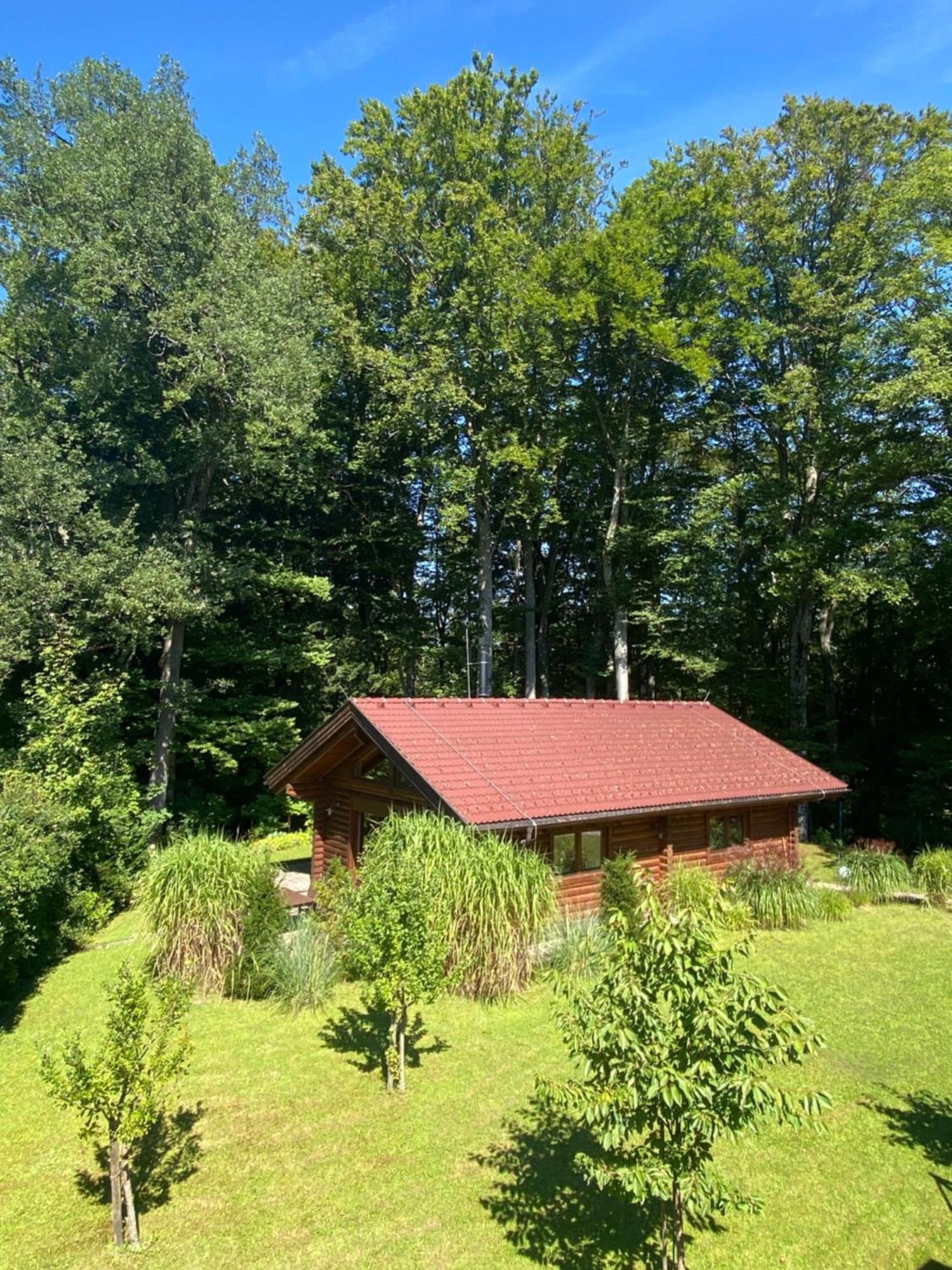 Huette Am Wald Vila Hof bei Salzburg Exterior foto