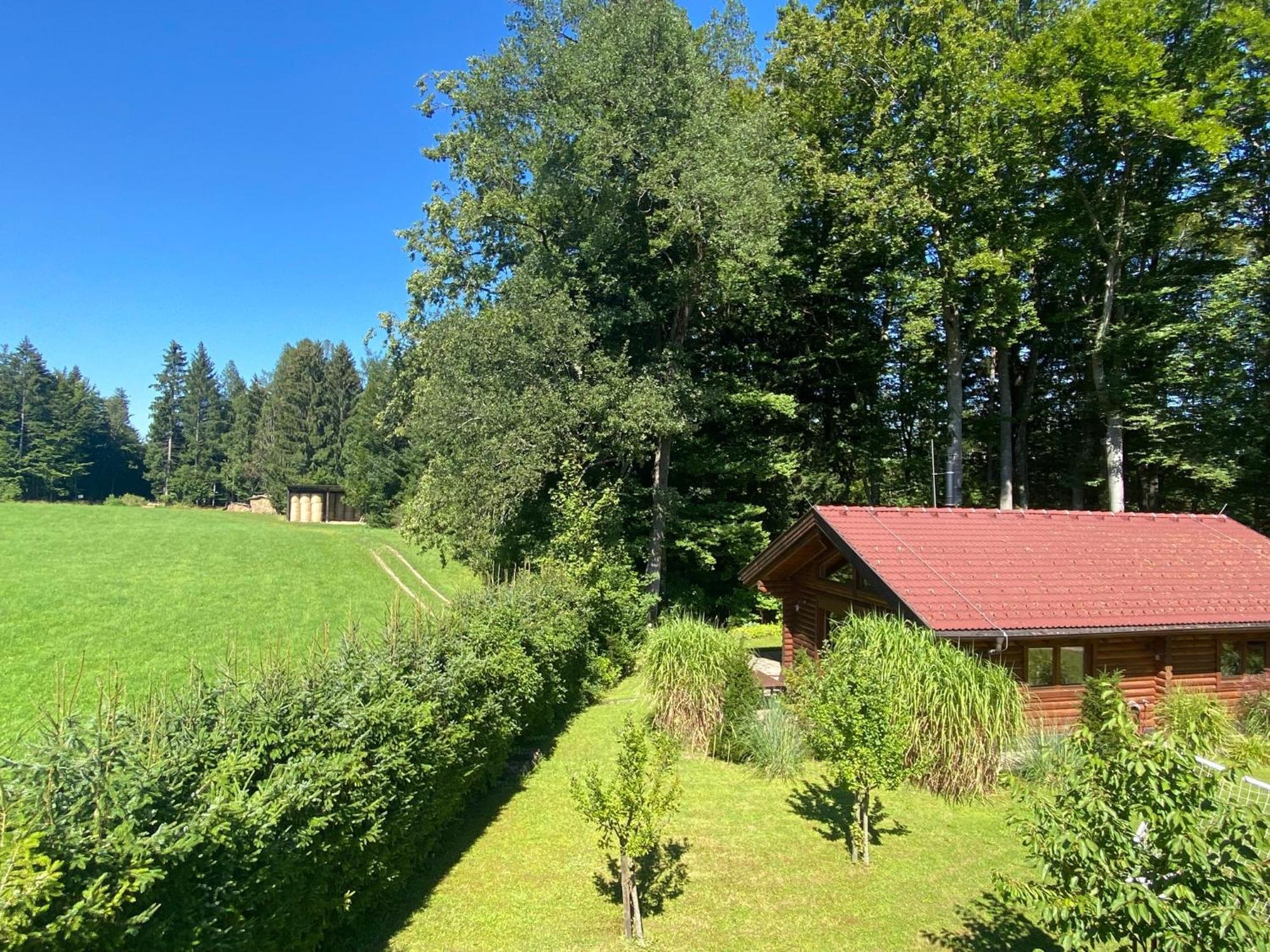 Huette Am Wald Vila Hof bei Salzburg Exterior foto